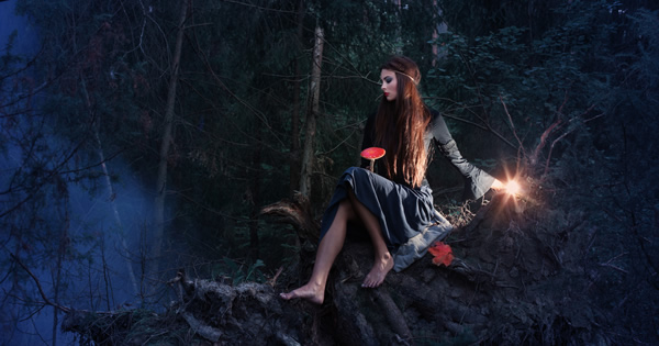 Your Celtic Tree Sign and What it Says About You