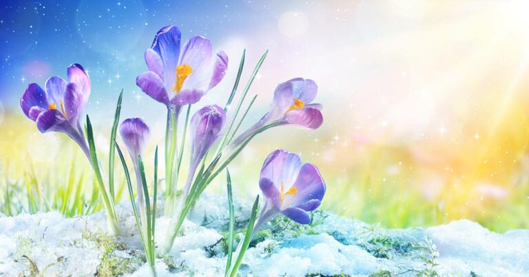 Sage Goddess Imbolc Prepares Us for the Magic of Spring