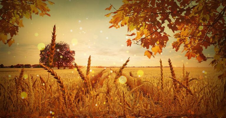 The Magic of Mabon The Magic of Mabon