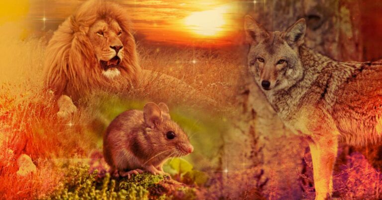 Spirit Creatures of the South