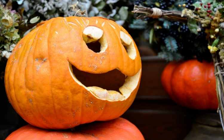 Funny and Scary Halloween Quotes and Sayings for You