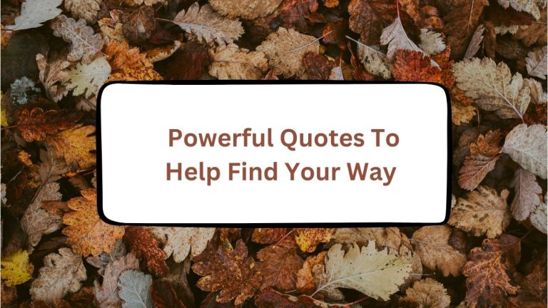 Quotes To Help You Find Your Way When You Feel Lost Quotes To Help You Find Your Way When You Feel Lost