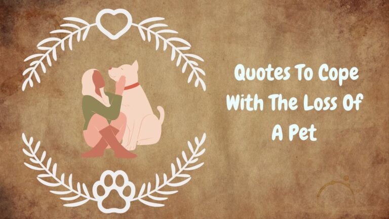 Emotional Sayings For The Loss Of A Pet