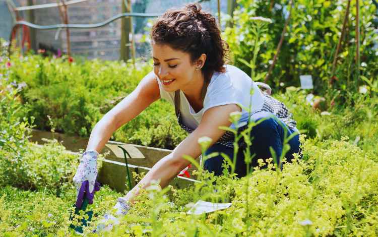 How to Start Gardening for Mental Health and Wellness How to Start Gardening for Mental Health and Wellness