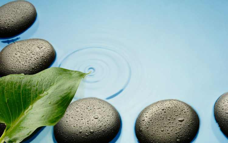 Why You Should Seek to Acquire Positive Emotional Detachment Why You Should Seek to Acquire Positive Emotional Detachment