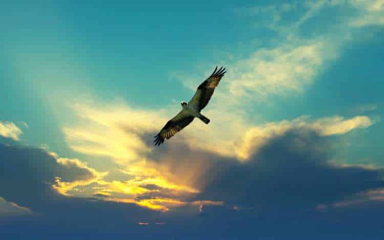 Nonduality, Non-Dualism and Duality Interesting Information Nonduality, Non-Dualism and Duality Interesting Information