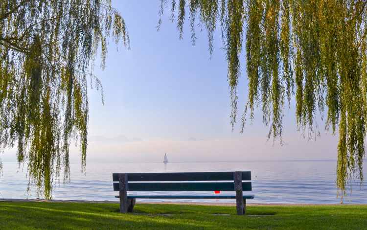 Tips and Guidelines to Help You Find Inner Peace Tips and Guidelines to Help You Find Inner Peace