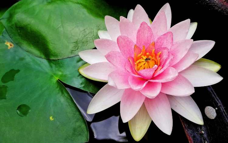 12 Signs of Spiritual Awakening to Know About 12 Signs of Spiritual Awakening to Know About