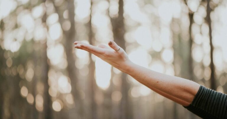 A Better Path to Contentment