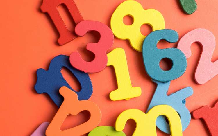 A Concise and Informative Guide A Concise and Informative Guide