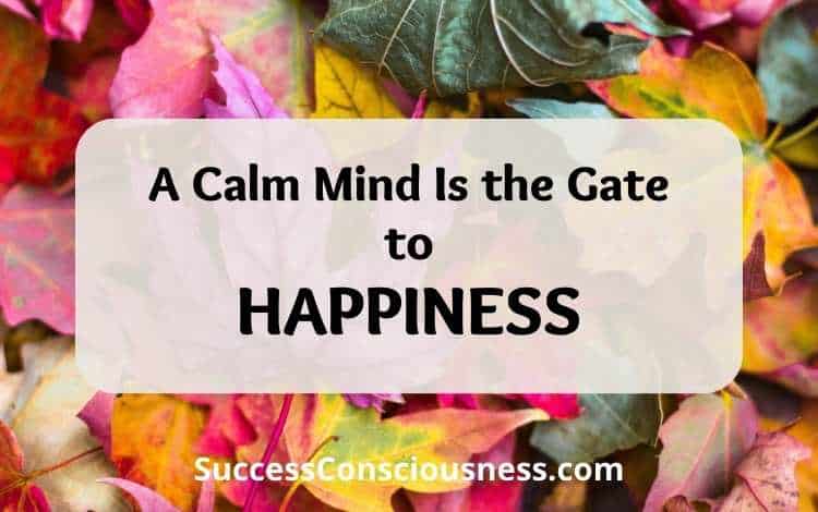 A Calm Mind Is the Key to Happiness in Everyday Life A Calm Mind Is the Key to Happiness in Everyday Life