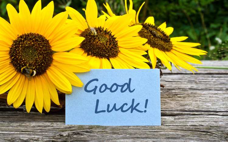 How to Attract Good Luck into Your Life: A Short Guide How to Attract Good Luck into Your Life: A Short Guide