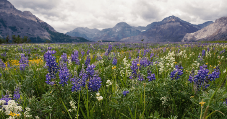 7 Tips for a Slow & Intentional Day