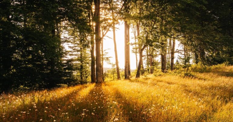 “I Can’t” Leads to Despondency, “How Can I” Leads to Possibilities