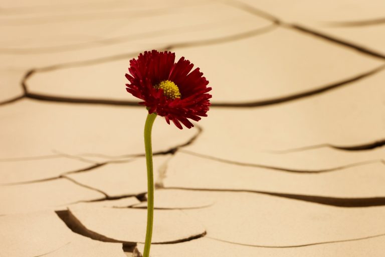 Three Ways to Find Meaningful Work After a Debilitating Setback