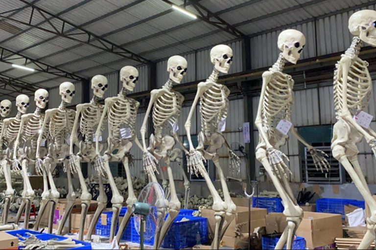 Home Depot’s Gigantic Skelton ‘Skelly’ Is Already Sold Out Home Depot’s Gigantic Skelton ‘Skelly’ Is Already Sold Out