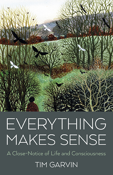 Everything Makes Sense: A Close-Notice of Life and Consciousness