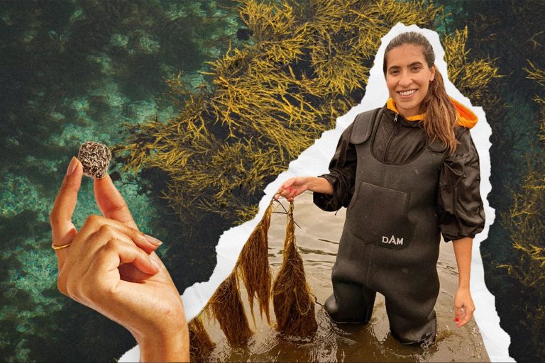 This Company Is Disrupting the $600 Billion Menopause Market with Seaweed — And You Can Invest