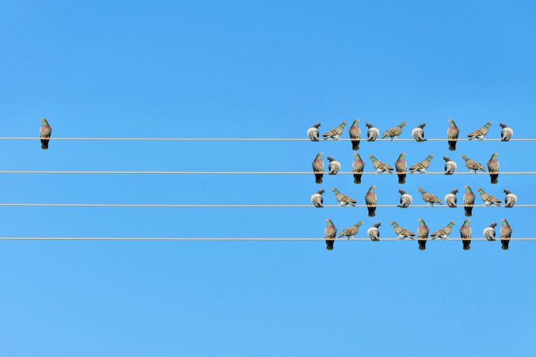 The Best Strategy to Stand Out in Today’s Competitive Market May Not Be What You Think The Best Strategy to Stand Out in Today’s Competitive Market May Not Be What You Think