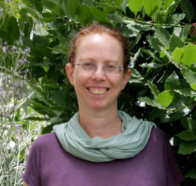 The Promise We Made: Three Universal Soul Promises We Made to Our Children