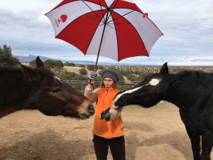 Be Like the Wind: Reconnecting to your Divinity through the horses’ eyes.