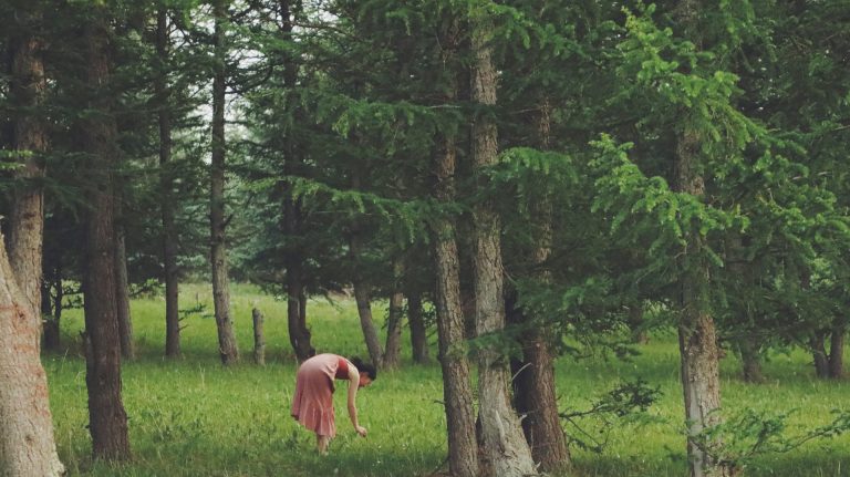 A Beginner’s Guide to Forest Bathing