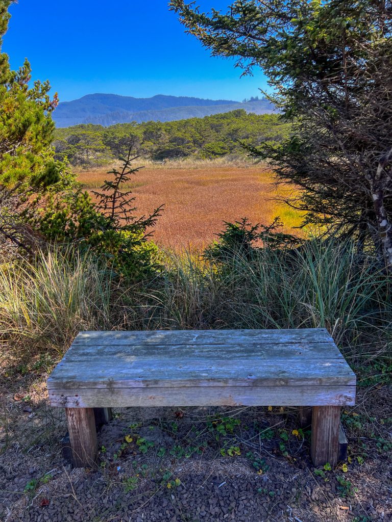 Compassion Without Burnout: Lessons from St. Francis for Modern Times