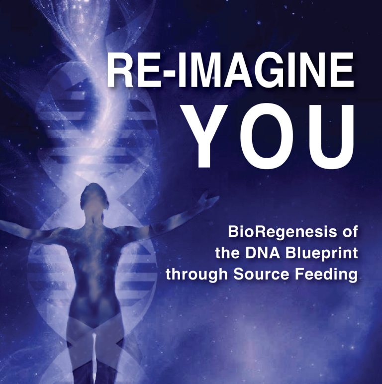 Re-Imagine You: Awakening the Hidden Blueprint Within