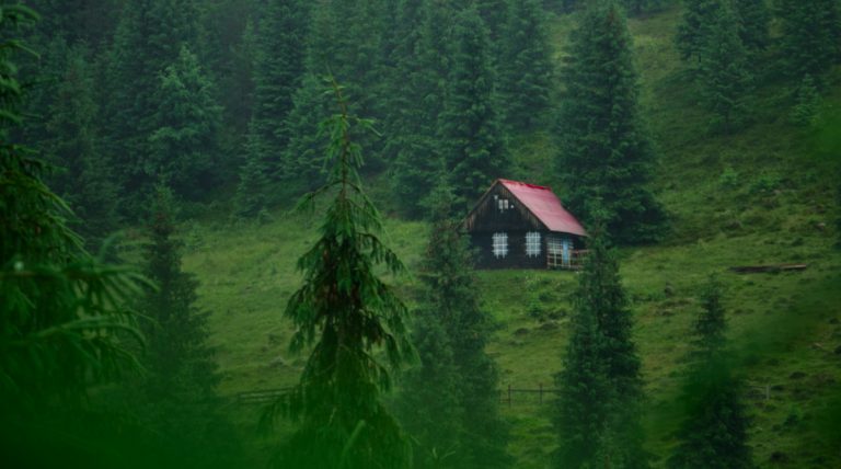 Solitude: An Inner Journey – Spiritual Direction